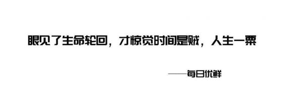 好文案,常用这19种修辞手法! 好文案,常用这19种修辞手法!